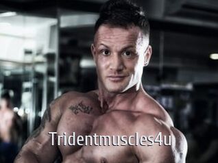 Tridentmuscles4u