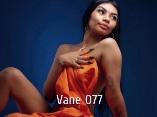 Vane_077