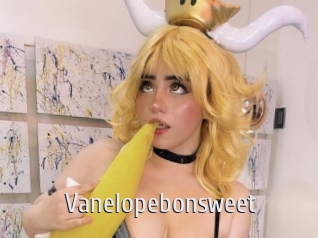 Vanelopebonsweet