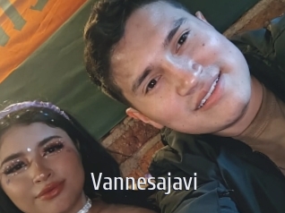 Vannesajavi