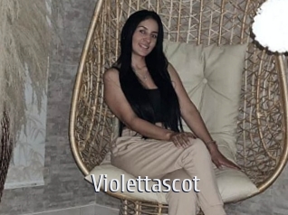 Violettascot