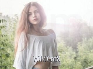 Wild_CatX