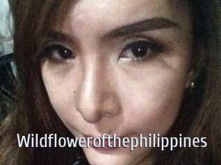 Wildflowerofthephilippines