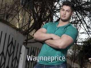 Waynneprice