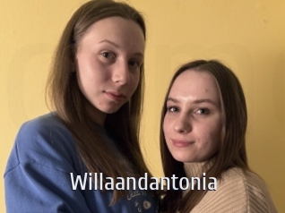 Willaandantonia