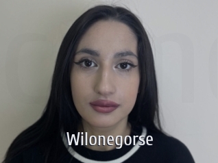 Wilonegorse