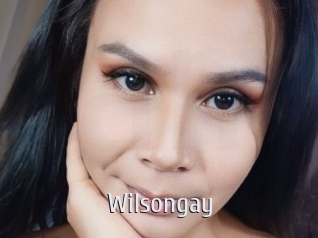 Wilsongay