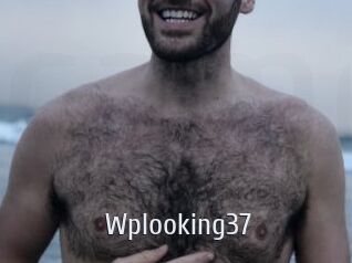 Wplooking37