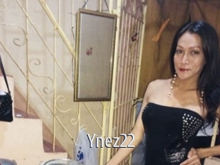 Ynez22