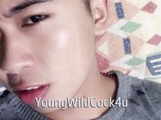 YoungWildCock4u