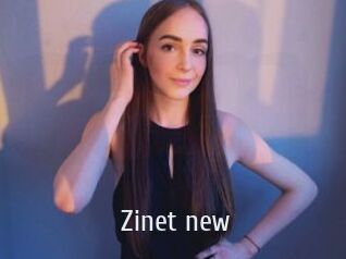 Zinet_new