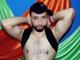 Zevit